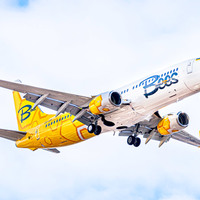 Новий український low-cost Bees Airline — список регулярних та чартерних маршрутів