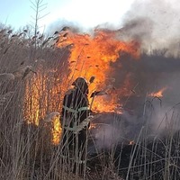 ДСНС попереджає про пожежну небезпеку у Чернігівській області