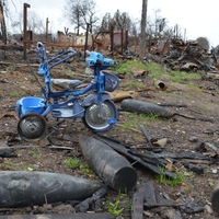 За добу на Чернігівщині виявлено 429 вибухонебезпечних предметів — інформація від ДСНС в області станом на ранок 30 квітня