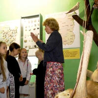 У Прилуцькому краєзнавчому музеї організовують пізнавальні екскурсії для школярів
