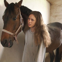 На Прилуччину евакуювали коней з Дергачівської кінно-спортивної школи,що перебуває під обстрілами РФ
