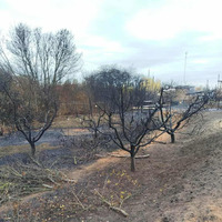 У Прилуках внаслідок атаки БпЛА завдано шкоди довкіллю на понад 3,4 мільйона гривень