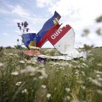 Міжнародне розслідування катастрофи MH17 виходить на фінальну стадію