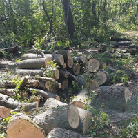 Прилуцькою місцевою прокуратурою обвинувальний акт відносно «чорного лісоруба» направлено до суду