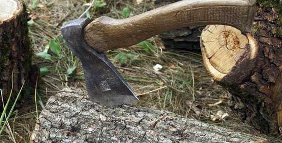 «Пильщика» засуджено за незаконну порубку дерев групою осіб, за попередньою змовою
