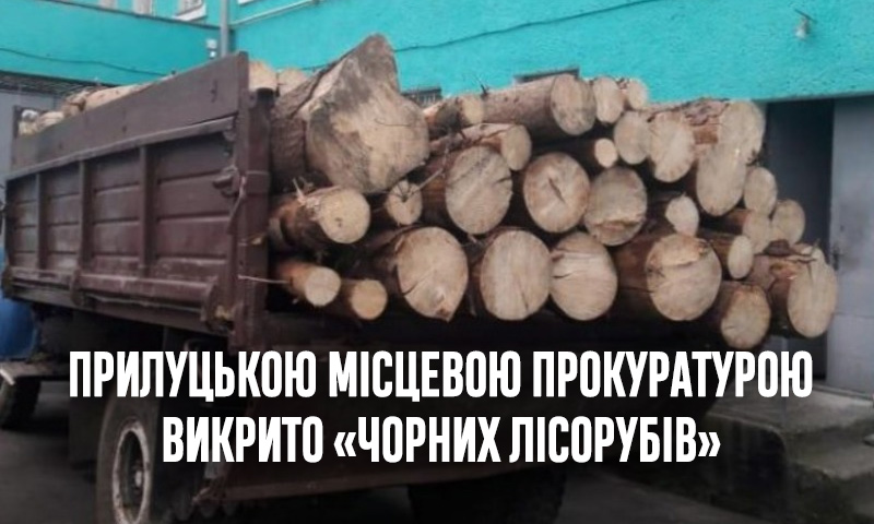 Прилуцькою місцевою прокуратурою викрито «чорних лісорубів»