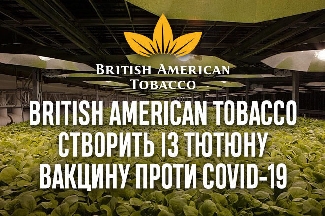 British American Tobacco створить із тютюну вакцину проти COVID-19