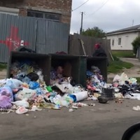 «Люди — свині», або — Кому заважають сміттєві баки