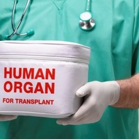 Зеленський збирається робити іноземцям трансплантацію органів