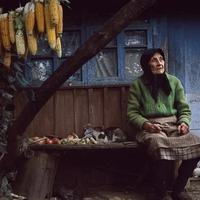 Світовий банк прогнозує зростання бідності в Україні