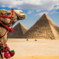 Єгипет посилив вимоги до тестів на COVID для туристів з України