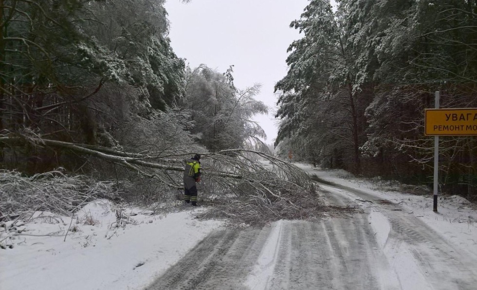 Обледеніння та снігопад. У Чернігівській області через негоду на дороги впали понад 200 дерев