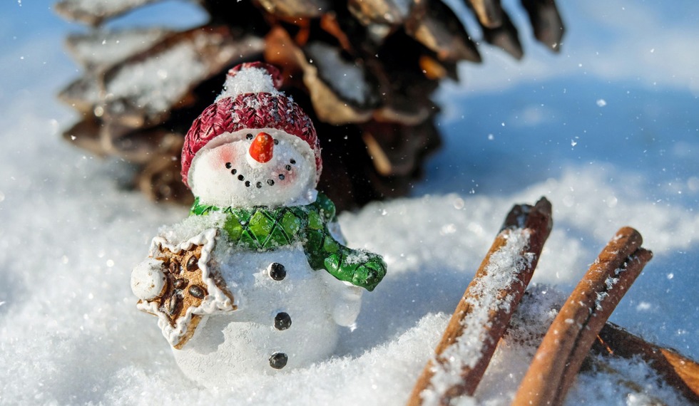 Синоптикиня розповіла, чи буде сніг на Новий рік в Україні