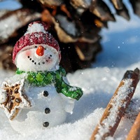 Синоптикиня розповіла, чи буде сніг на Новий рік в Україні