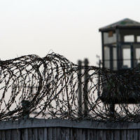 Уряд Зеленського готує приватизацію чотирьох тюрем у наступному році