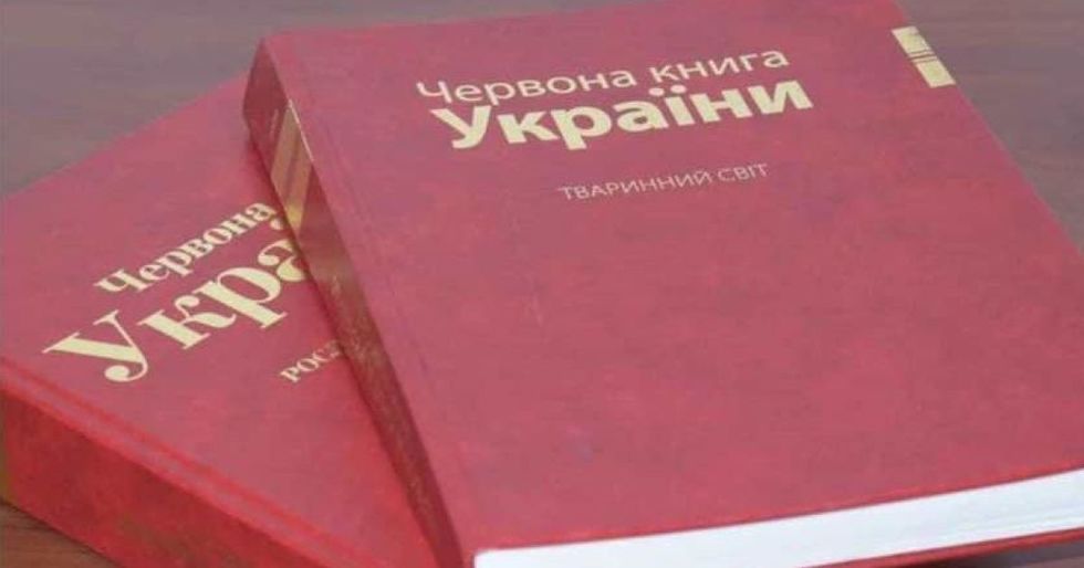 До нової редакції Червоної книги України включили ще 171 вид тварин
