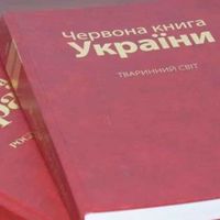До нової редакції Червоної книги України включили ще 171 вид тварин