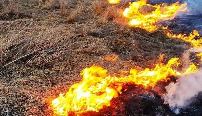 На Чернігівщині через спалювання трави сталося 38 пожеж, 1 людина загинула