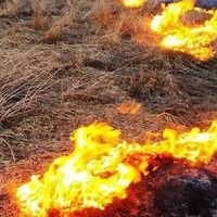 На Чернігівщині через спалювання трави сталося 38 пожеж, 1 людина загинула