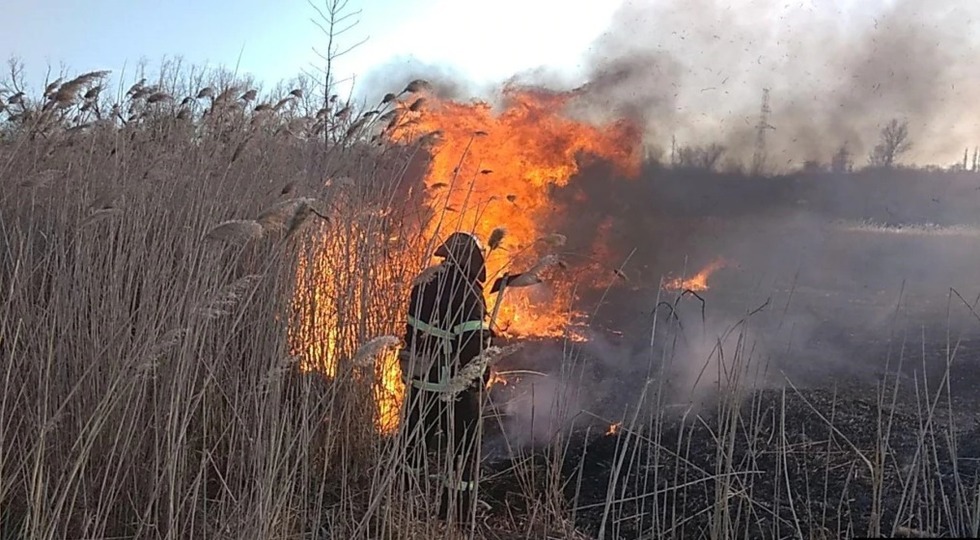 ДСНС попереджає про пожежну небезпеку у Чернігівській області