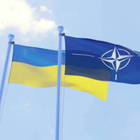 Уряд затвердив план заходів річної національної програми Україна-НАТО