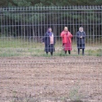 Литва починає будувати паркан на кордоні з Білоруссю