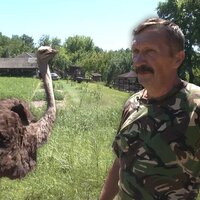 Один серед страусів та черепах: як живе єдиний житель хутора на Чернігівщині, якого нема на мапі