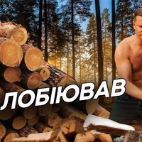 Олег Ляшко став власником деревообробного бізнесу, інтереси якого він лобіював в Раді