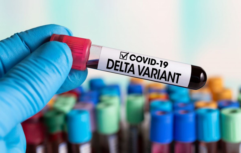 На Чернігівщині виявлено коронавірусний штам «Дельта». Шлях убезпечитися — вакцинація