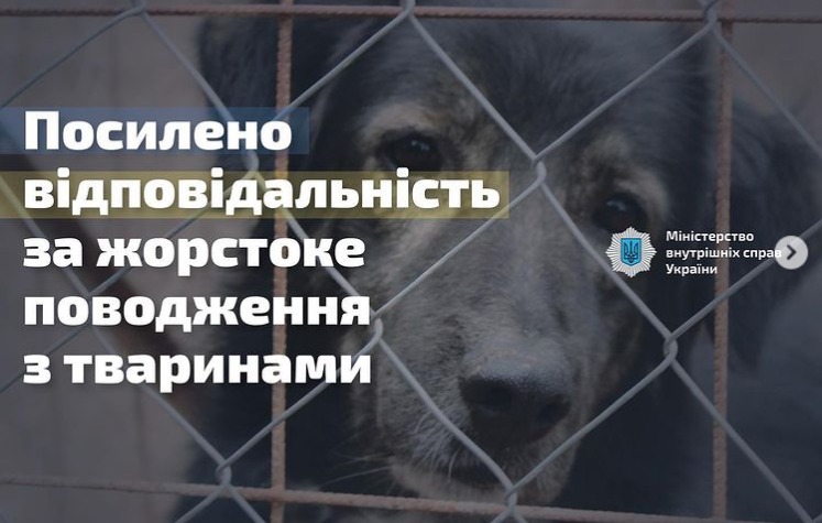 В Україні посилено відповідальність за жорстоке поводження з тваринами