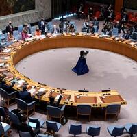  Україна ініціювала термінове засідання Радбезу ООН через заклик ОРДЛО до Путіна