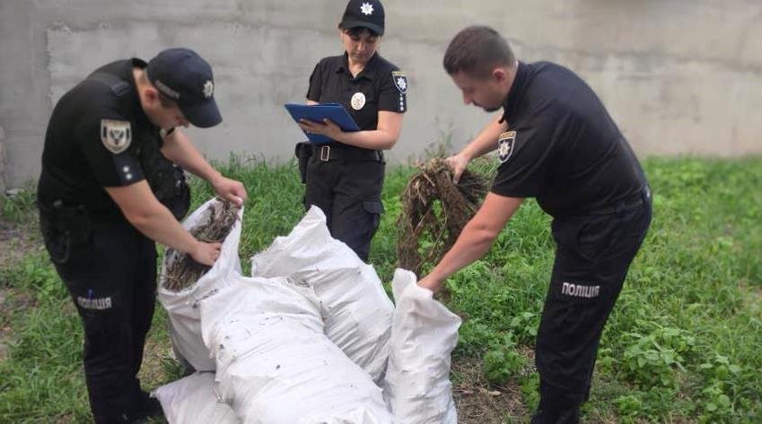 На Прилуччині поліцейські викрили незаконне вирощування та збут конопель