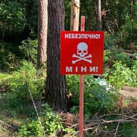 Поліція нагадує про заборону відвідування лісів у Чернігівській області