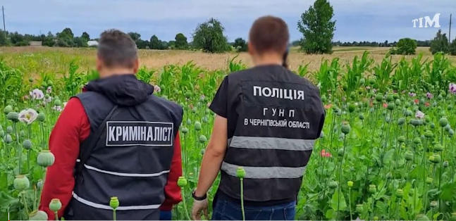 На Чернігівщині поліція підбила підсумки антинаркотичного відпрацювання