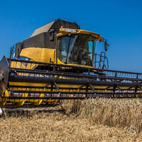 В Україні збирання зернових наближається до завершення, вже намолочено 43,6 млн тонн зерна