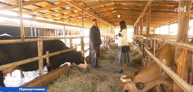 Фермер Михайло Травецький рятує корів від війни і скотобійні та розвиває етнічні породи