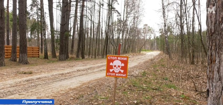 На Прилуччині продовжує діяти заборона на відвідування лісів