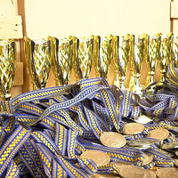 У Ладанській громаді відбувся Міжобласний чемпіонат з дзюдо