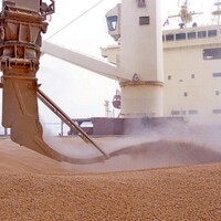 Росія, Туреччина і Катар готують нову тристоронню зернову угоду – Bild