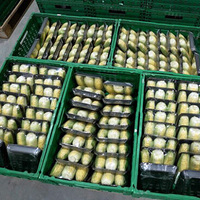 Господарство з Чернігівщини експортує до Британії солодку кукурудзу