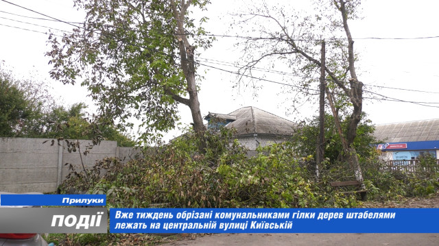 Вже тиждень обрізані комунальниками гілки дерев штабелями лежать на центральній вулиці Київській