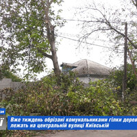 Вже тиждень обрізані комунальниками гілки дерев штабелями лежать на центральній вулиці Київській