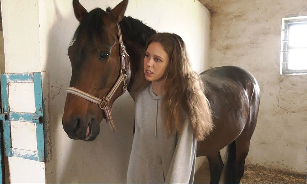 На Прилуччину евакуювали коней з Дергачівської кінно-спортивної школи, що перебуває під обстрілами РФ