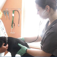 Ветеринар – це не професія, а покликання душі: 26-річна прилучанка відкрила ветлікарню