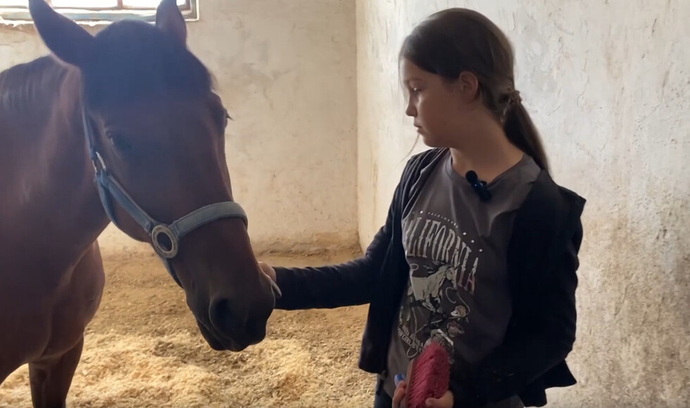 Усе літо волонтерять на конюшні. Допомагають евакуйованим академічним коням