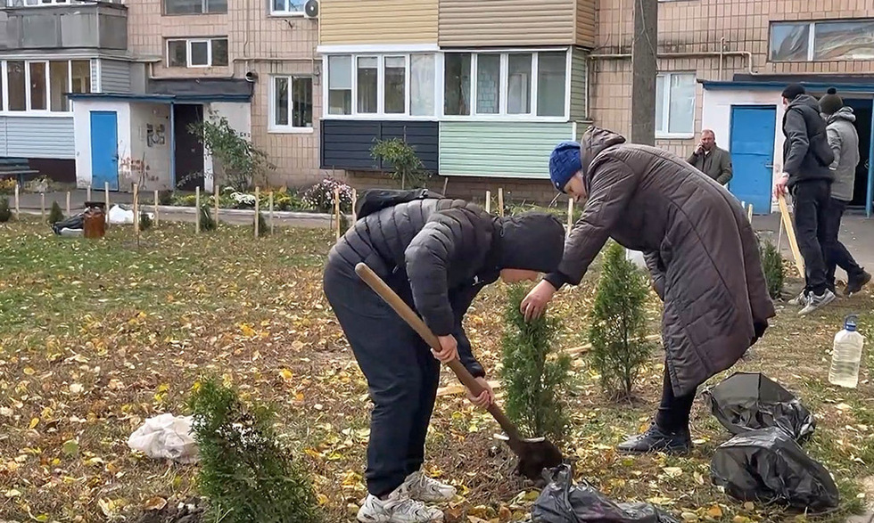 Мешканці багатоповерхівки мікрорайону 273 кварталу за власні кошти озеленили прибудинкову територію