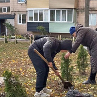 Мешканці багатоповерхівки мікрорайону 273 кварталу за власні кошти озеленили прибудинкову територію