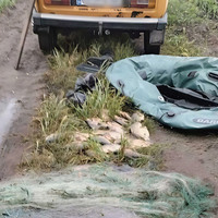 На Прилуччині браконьєр під час нересту ловив рибу сітками, завдав збитків державі майже на 100 тисяч
