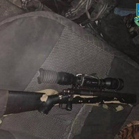 Вполював червонокнижного лося: житель Прилук постане перед судом