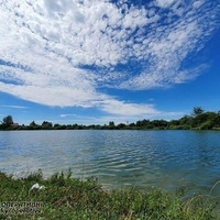 У водоймі на Прилуччині потонув чоловік